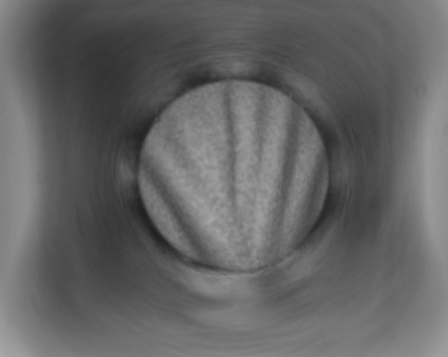 X0000113290040200909281021