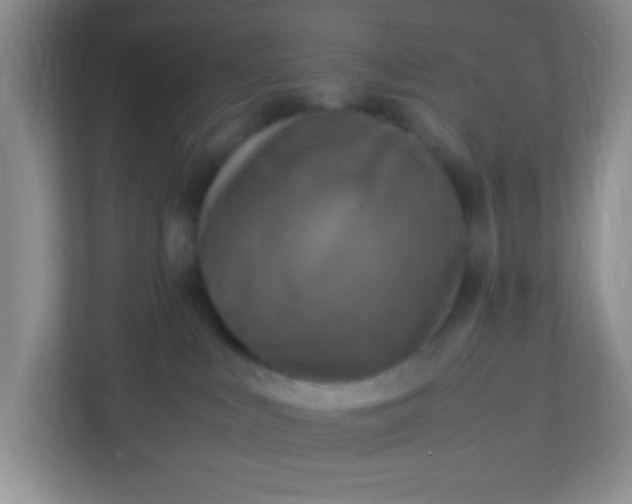 X0000113290043200909281021