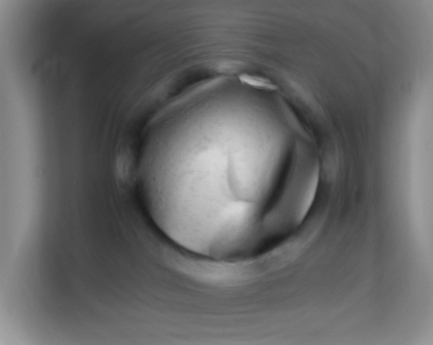 X0000113290044200909281021