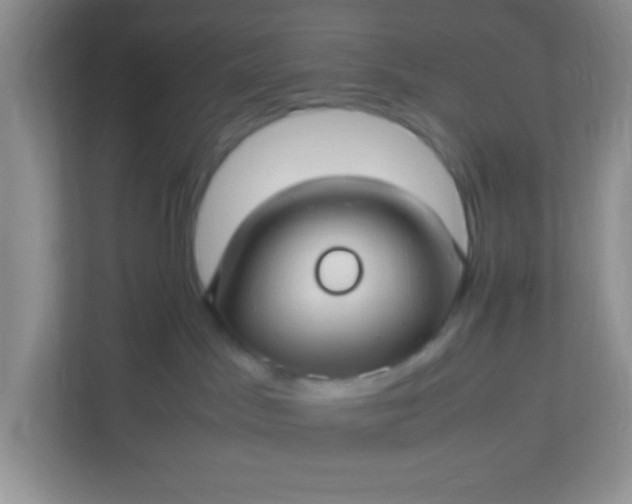 X0000113290045200909281021