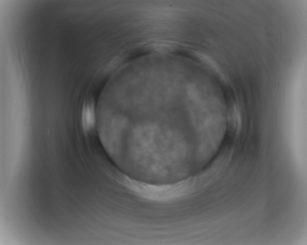 X0000113290046200909281021