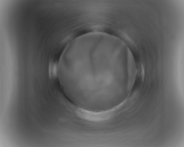 X0000113290047200909281021