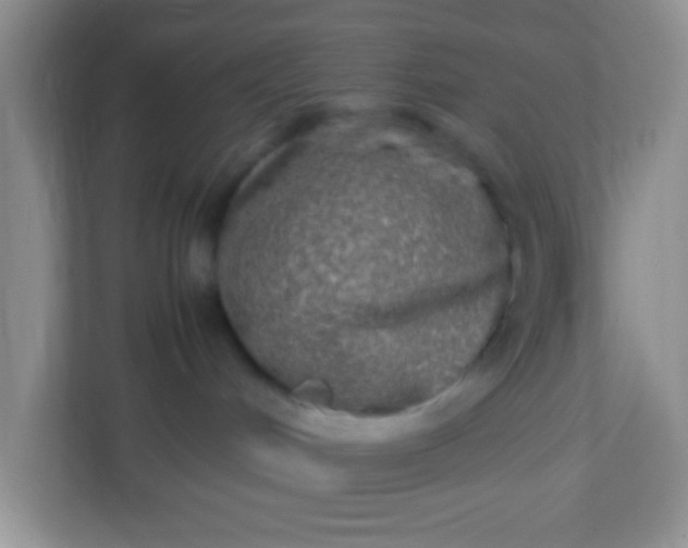 X0000113290048200909281021