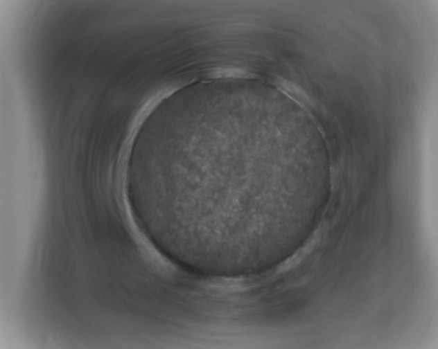 X0000113290049200909281020