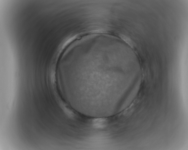 X0000113290050200909281020