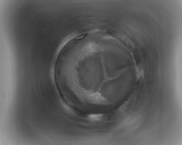 X0000113290051200909281020