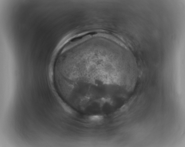 X0000113290053200909281020