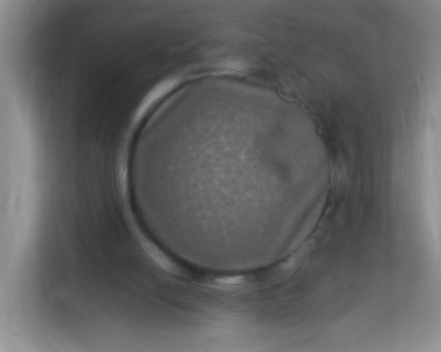 X0000113290054200909281020