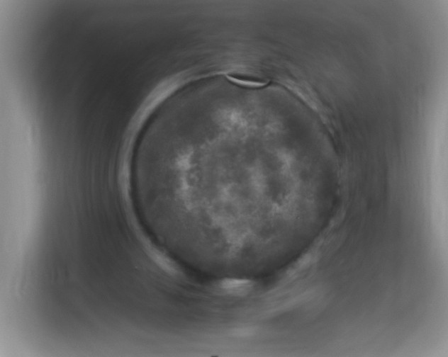 X0000113290055200909281020