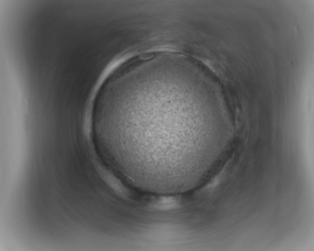 X0000113290056200909281020