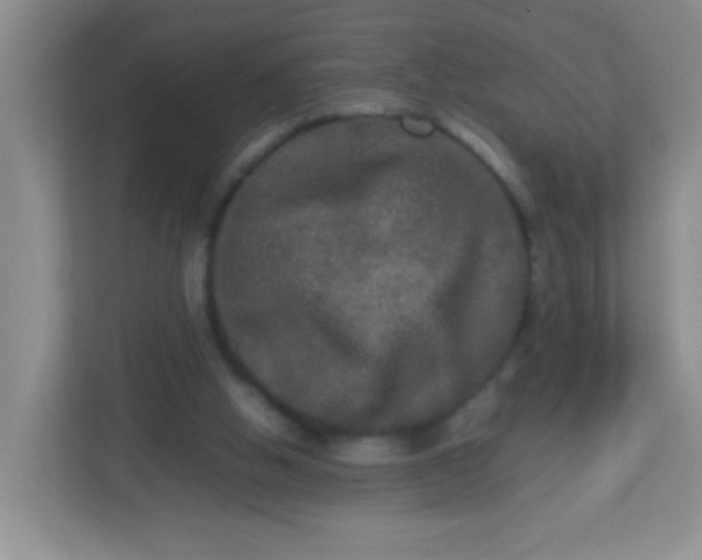 X0000113290058200909281020