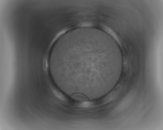 X0000113290059200909281020