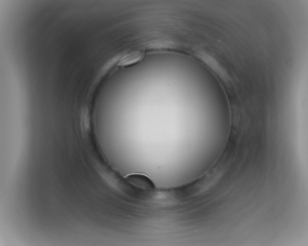 X0000113290060200909281020