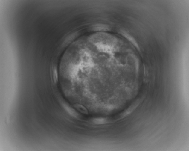 X0000113290061200909281020