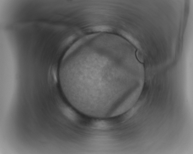 X0000113290062200909281020