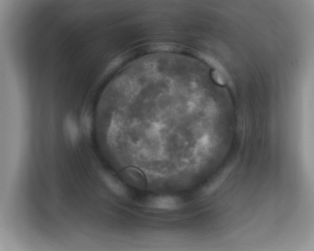 X0000113290063200909281020