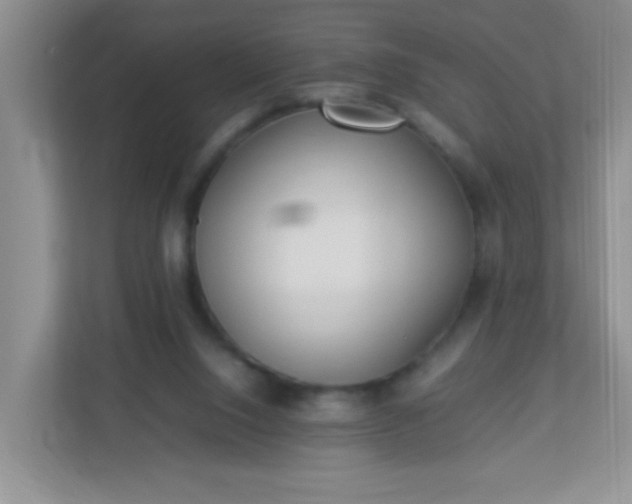 X0000113290064200909281020