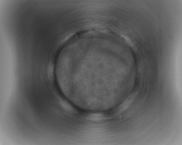 X0000113290066200909281020