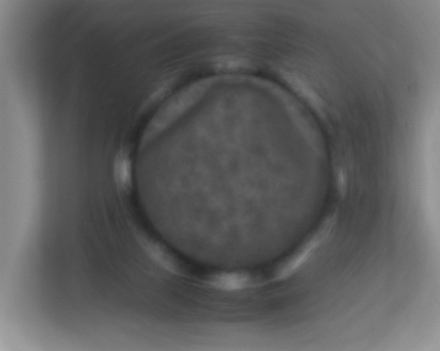 X0000113290067200909281020