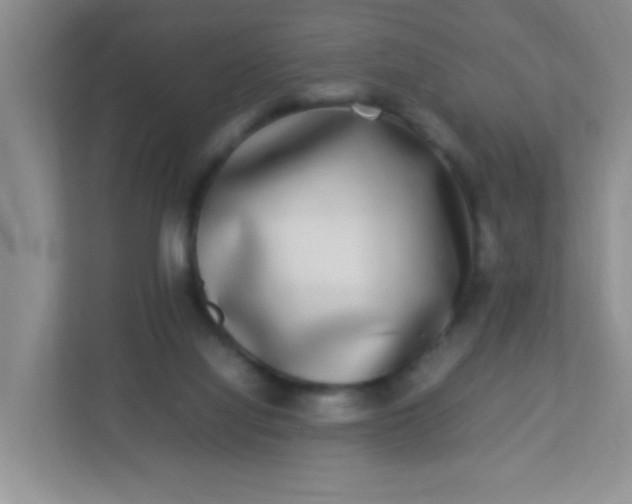 X0000113290068200909281020