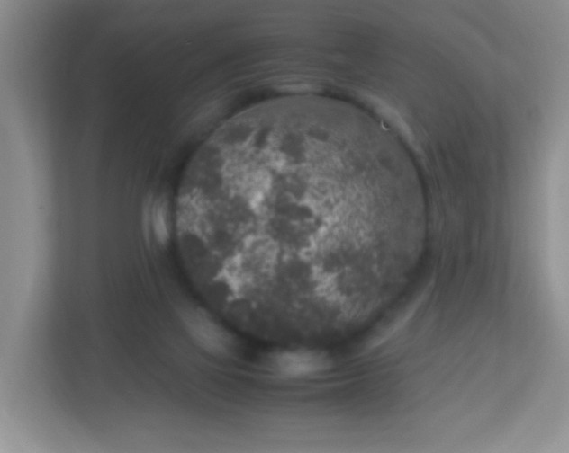 X0000113290069200909281020