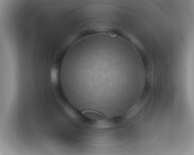 X0000113290070200909281020