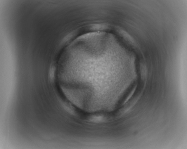 X0000113290071200909281020