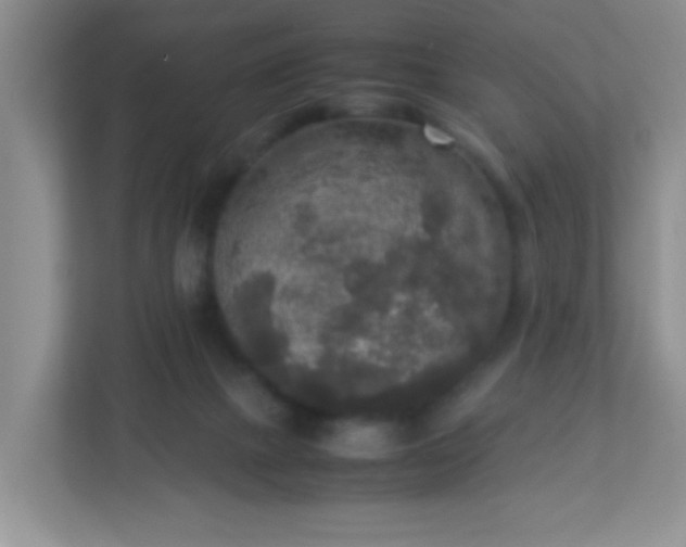 X0000113290073200909281020