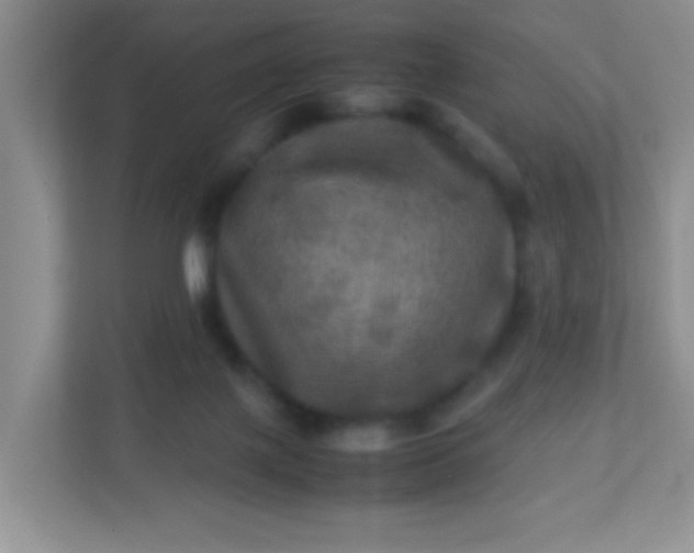 X0000113290075200909281020