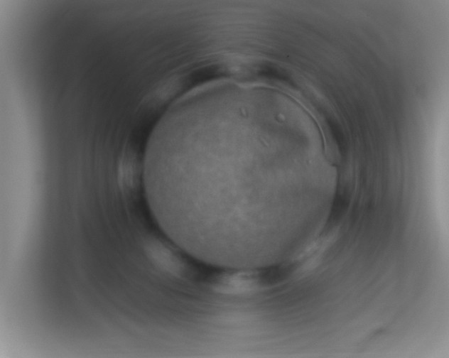 X0000113290078200909281020