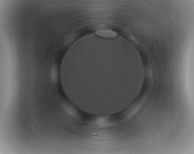 X0000113290080200909281021