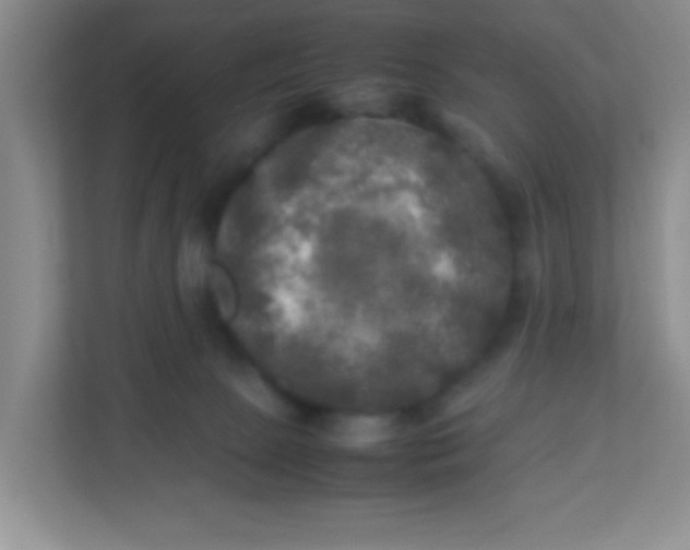 X0000113290081200909281021