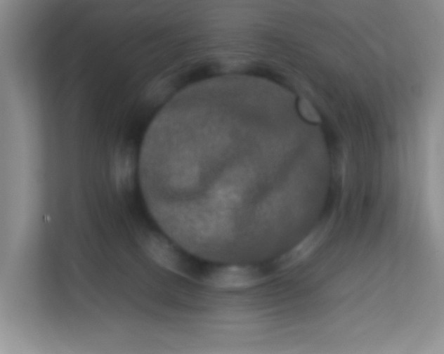 X0000113290082200909281021