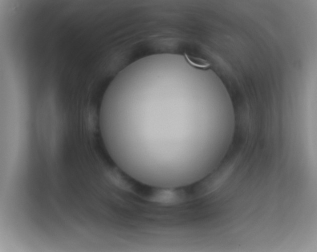 X0000113290083200909281021