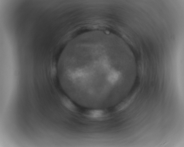 X0000113290085200909281021