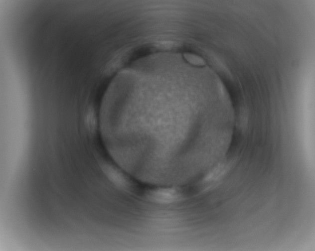 X0000113290086200909281021