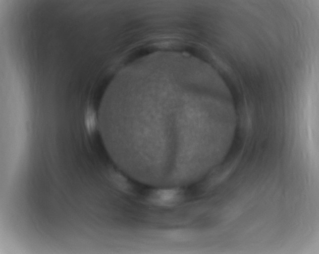 X0000113290089200909281021