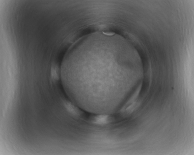 X0000113290090200909281021