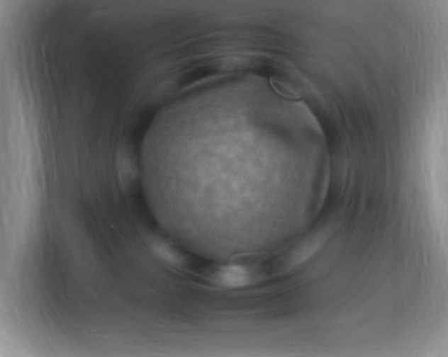 X0000113290091200909281021