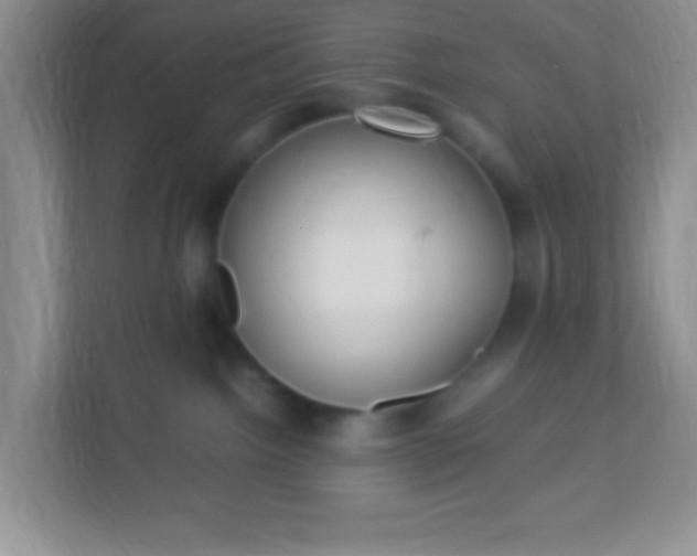 X0000113290092200909281021