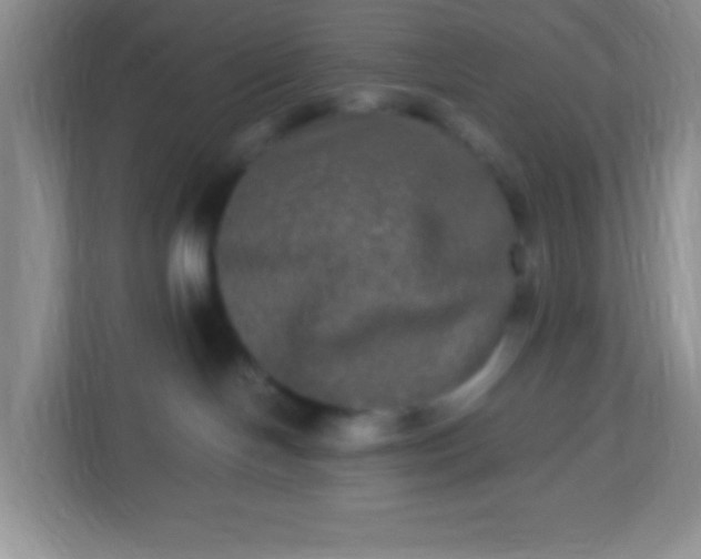 X0000113290094200909281021