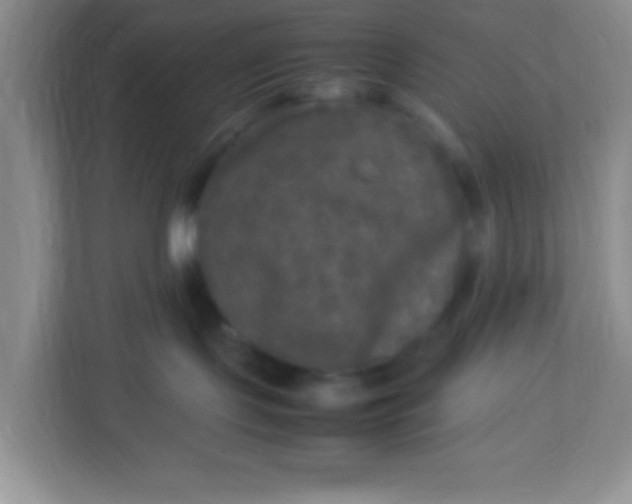 X0000113290095200909281021