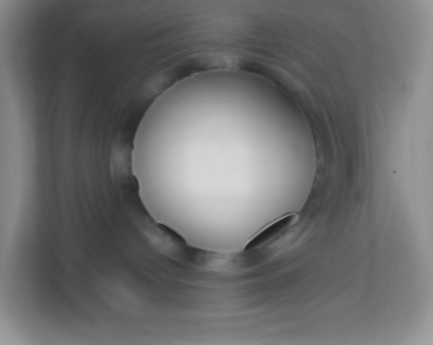 X0000113290096200909281021