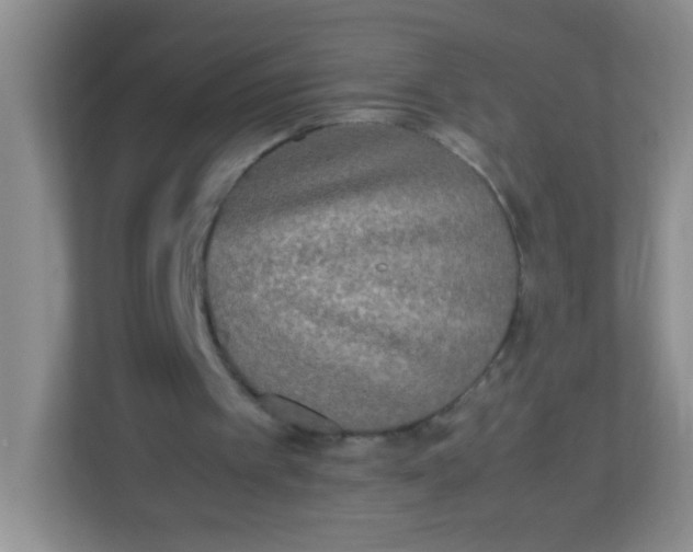 X0000113290097200909281020