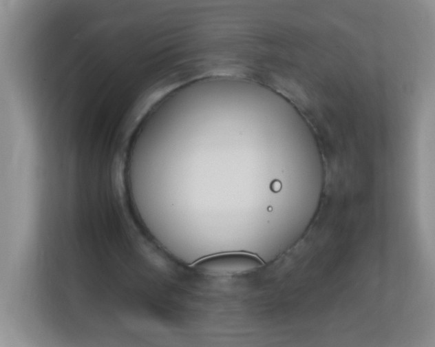 X0000113290098200909281020