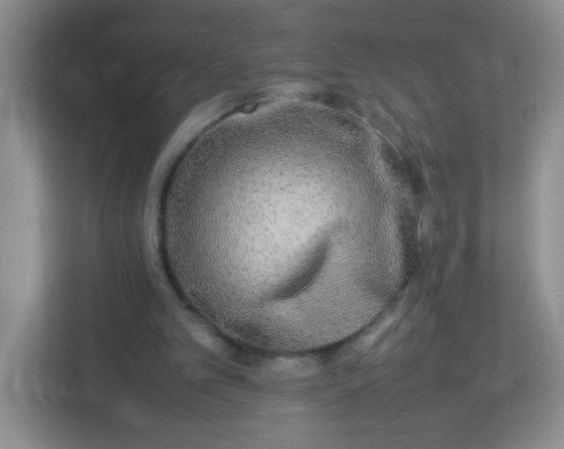 X0000113290101200909281020