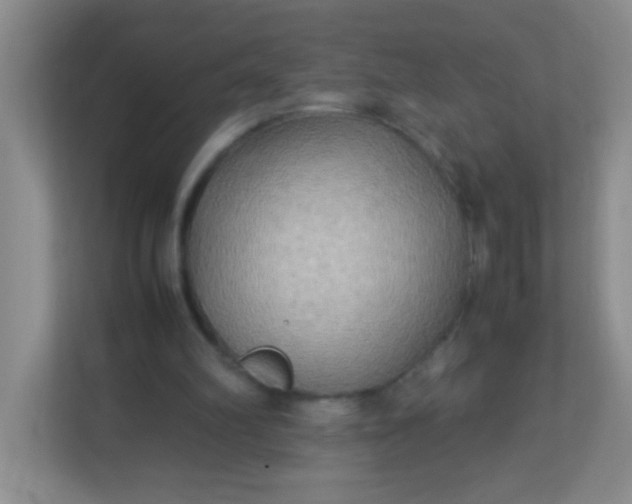 X0000113290102200909281020