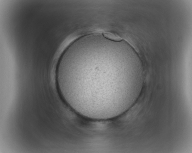 X0000113290103200909281020