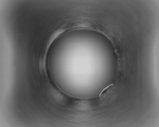 X0000113290104200909281020