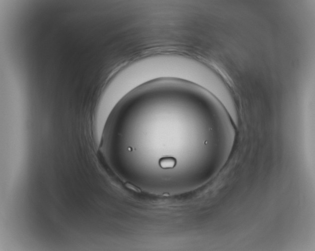 X0000113290105200909281020